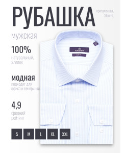 Голубая приталенная мужская рубашка Poggino 7020-25 в полоску с длинными рукавами